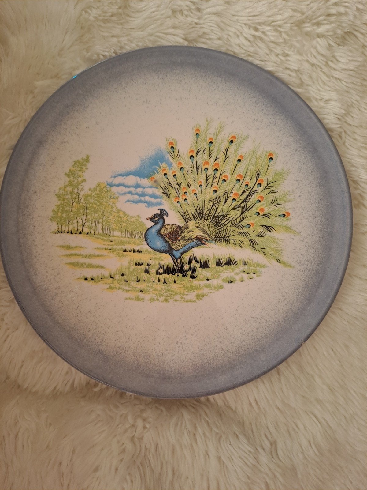 Ronde schaal (met de hand gedecoreerd in Italië), Ophalen, Rond