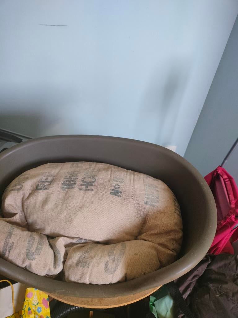 Honden mand voor kleine hondjes, Dieren en Toebehoren, Ophalen of Verzenden
