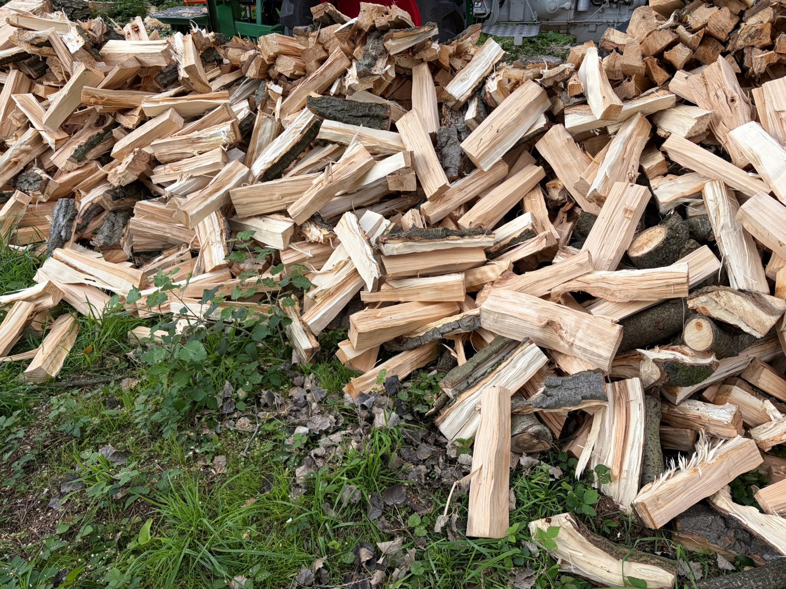 Bois de chauffage 40 cm peuplier a faire sécher., Jardin & Terrasse, Enlèvement