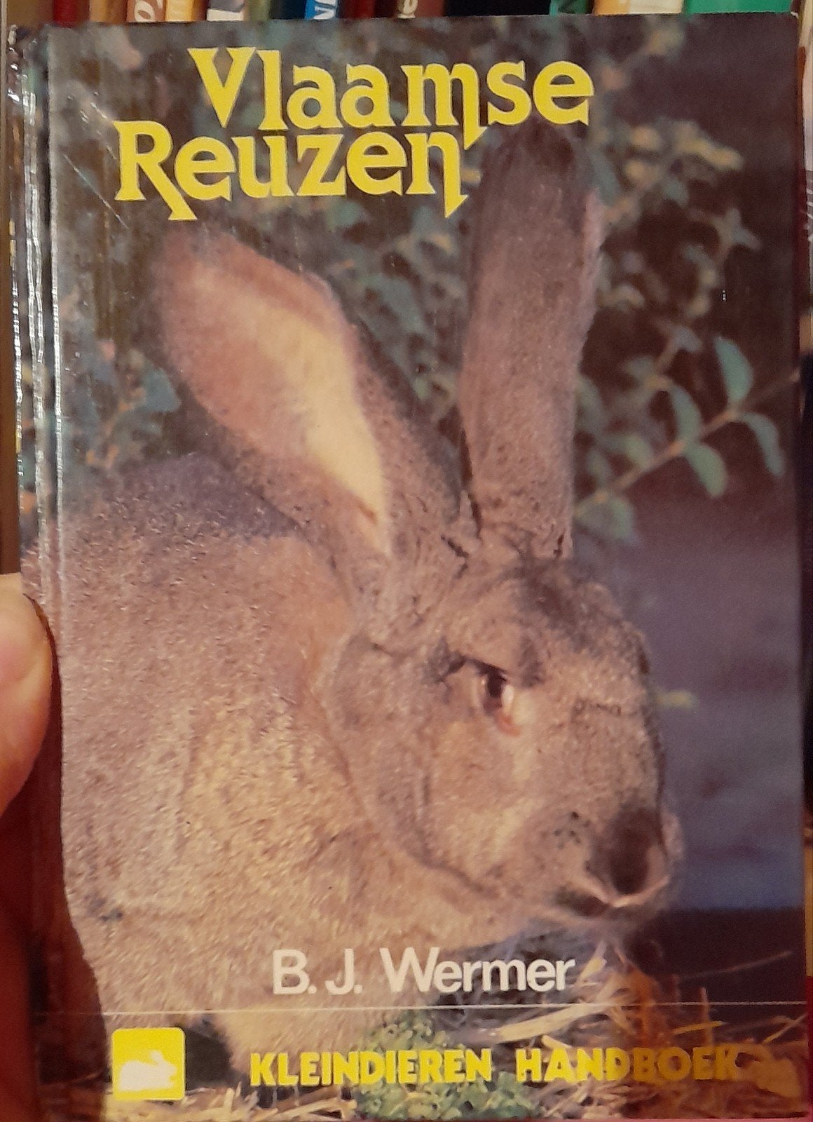 Informatie boek over Vlaams Reus konijn, Enlèvement ou Envoi