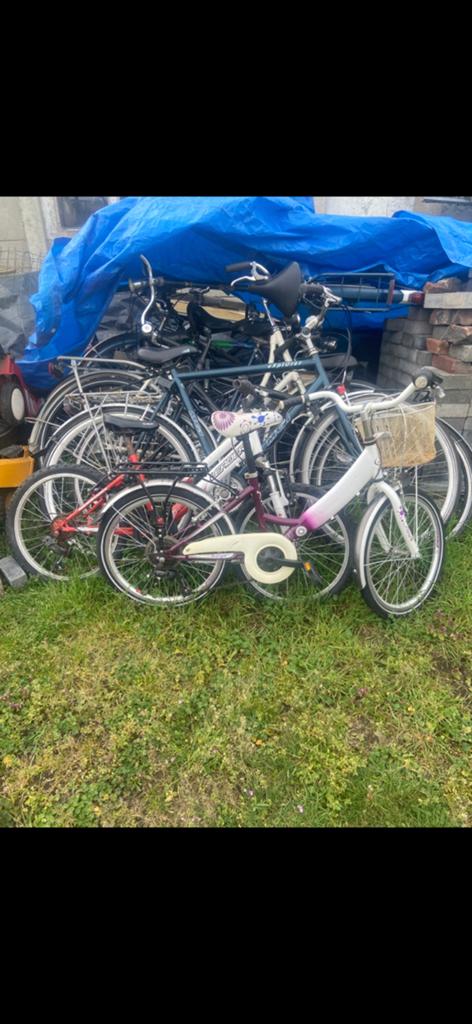 À VENDRE : vélos pour femmes et enfants, Enlèvement, Comme neuf