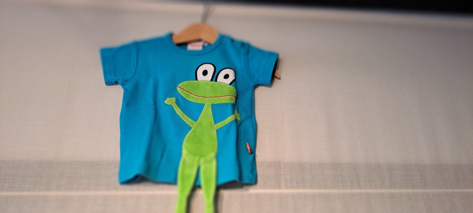 T shirt maat 62, Gebruikt, Jongetje of Meisje, Shirtje of Longsleeve, LipFich