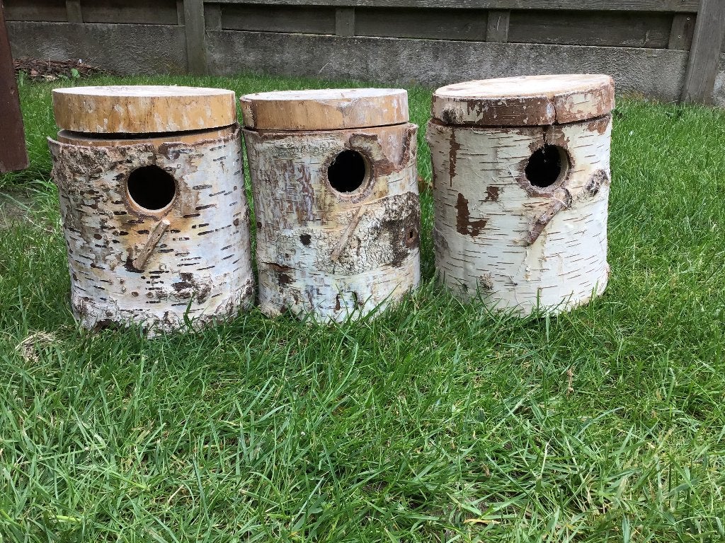 Nestblok parkiet, Dieren en Toebehoren, Vogels | Parkieten en Papegaaien, Parkiet