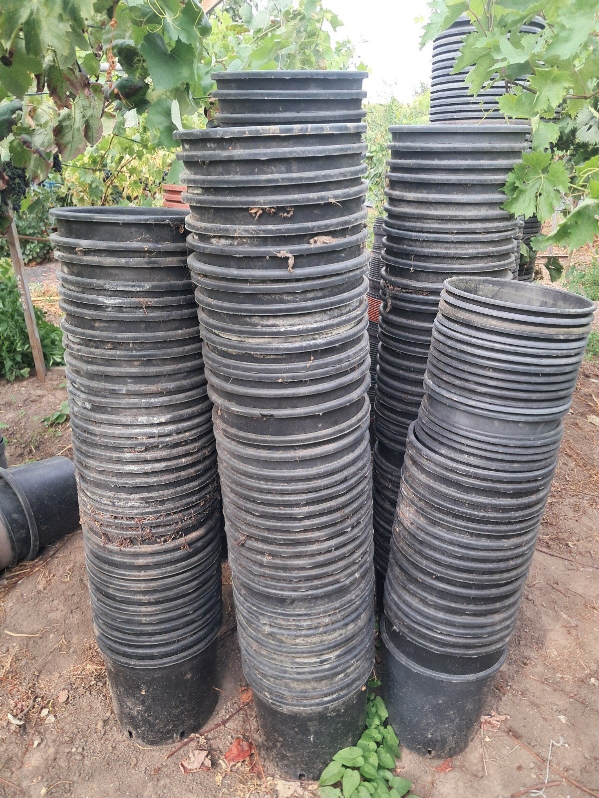 pots à fleurs  utilisés, Tuin en Terras, Kweekspullen, Ophalen