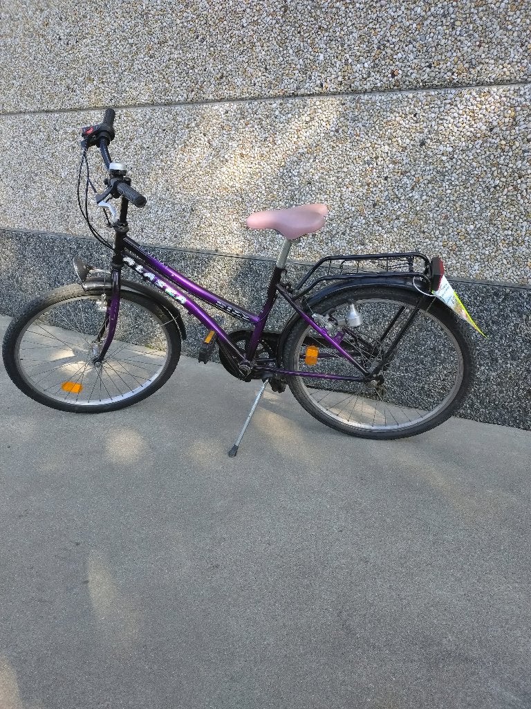 fiets, Fietsen en Brommers, Gebruikt, Velgrem, Versnellingen, Ophalen