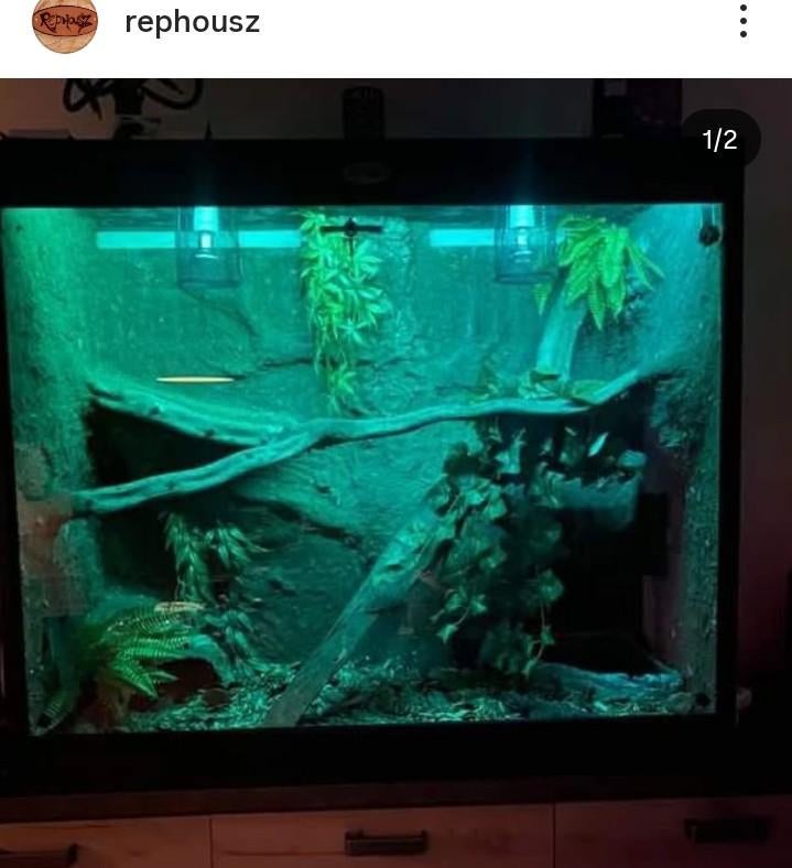 Osb3 terrarium RepHouSZ. Ook maatwerk, Enlèvement, Neuf, Terrarium ou Paludarium