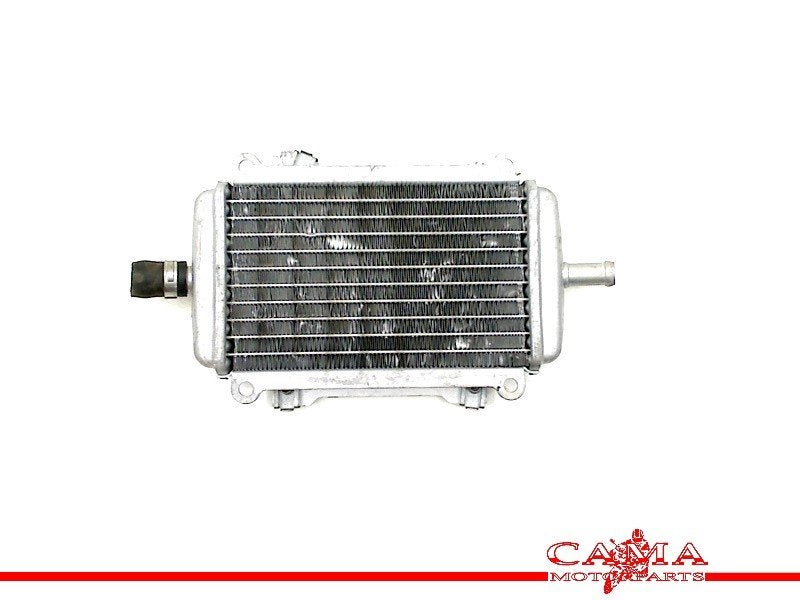 RADIATEUR Piaggio GTS 250 i.e 2005-2013 (GTS250), Motoren, Dhr. S. di Majo, Gebruikt, Info@cama-motorparts.nl, P.J. Troelstraweg 8 8
3144 CX  MAASSLUIS, NL