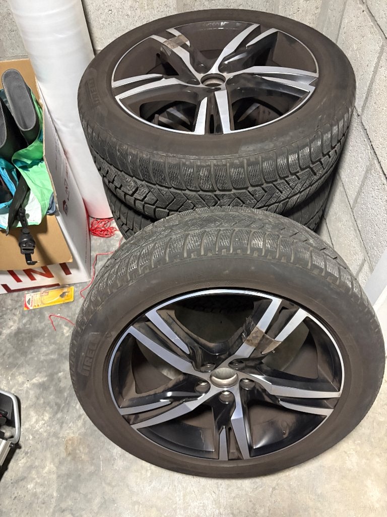 Pirelli Scorpion Winterbanden op velg, Pneus et Jantes, Pneus hiver, Véhicule de tourisme, 19 pouces
