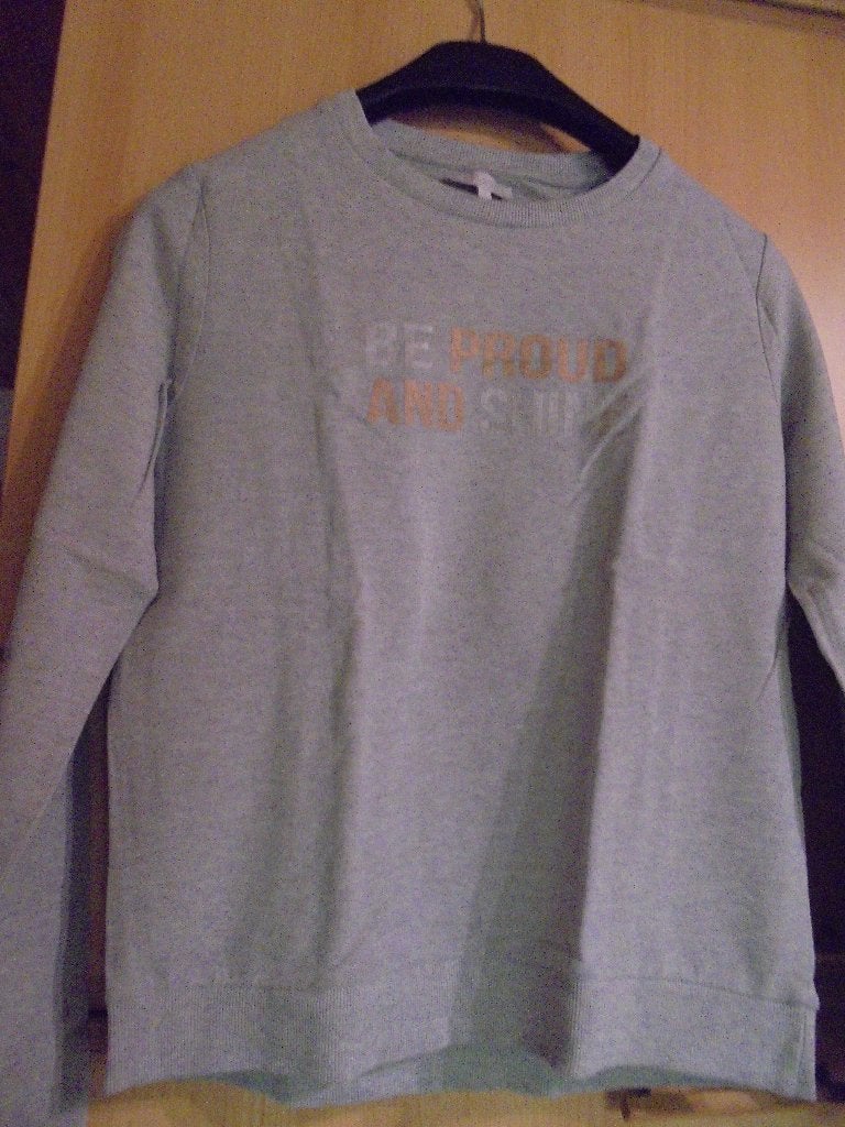 Grijze pull Small, Ophalen of Verzenden, Zo goed als nieuw, Meisje, Trui of Vest