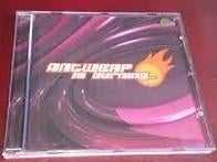 Antwerp Is Burning, CD & DVD, CD | Dance & House, Enlèvement ou Envoi, Comme neuf, Dance populaire