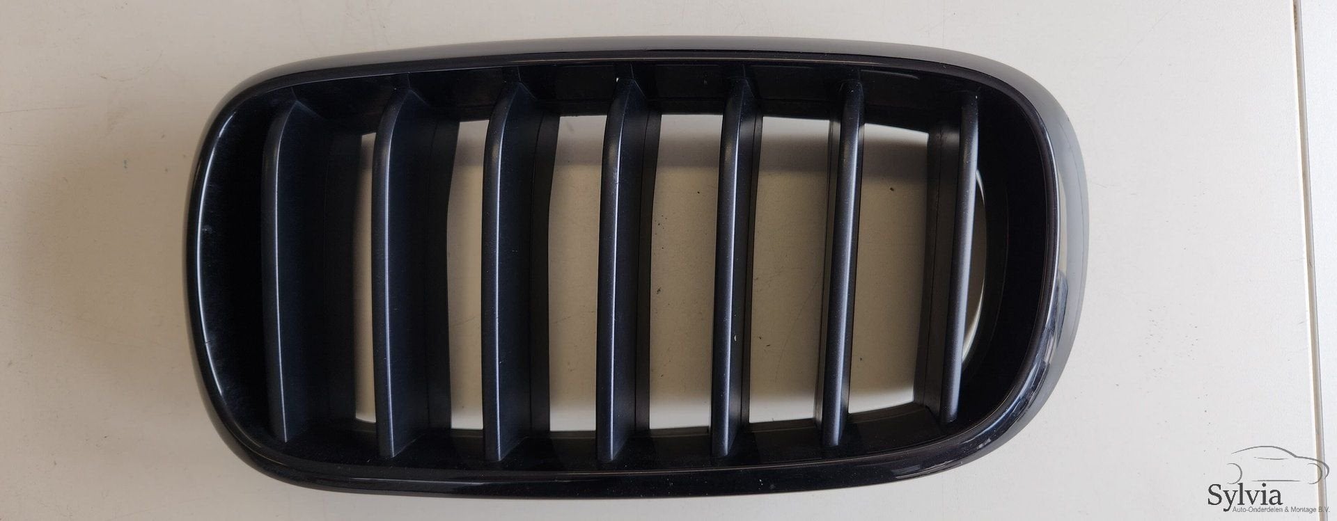 Nier Grille links met zwarte raam en zwarte strepen BMW X5 F, Gebruikt, -, -, Ophalen of Verzenden