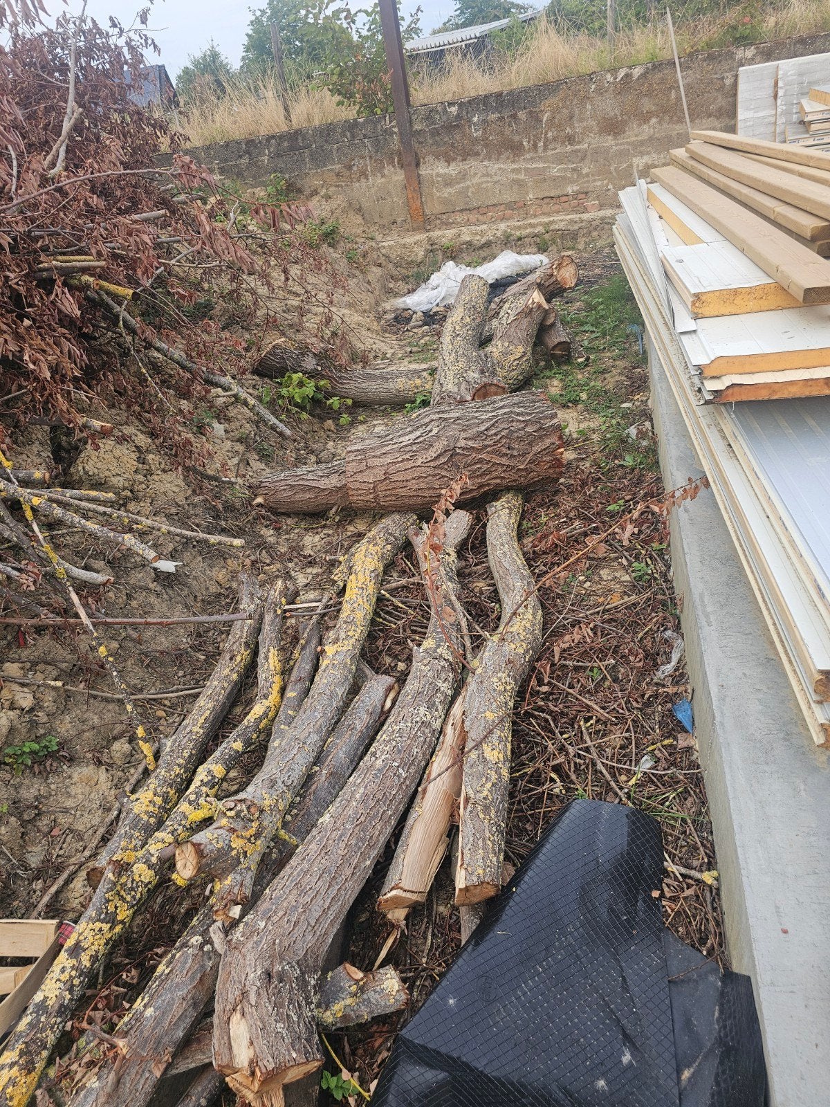 hout gratis, Enlèvement