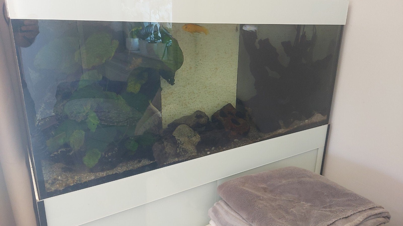 Aquarium Monobloc 250l, Animaux & Accessoires