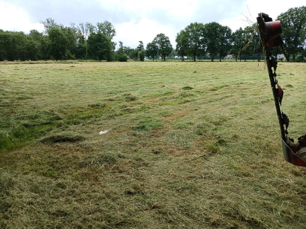 Weiland gezocht.