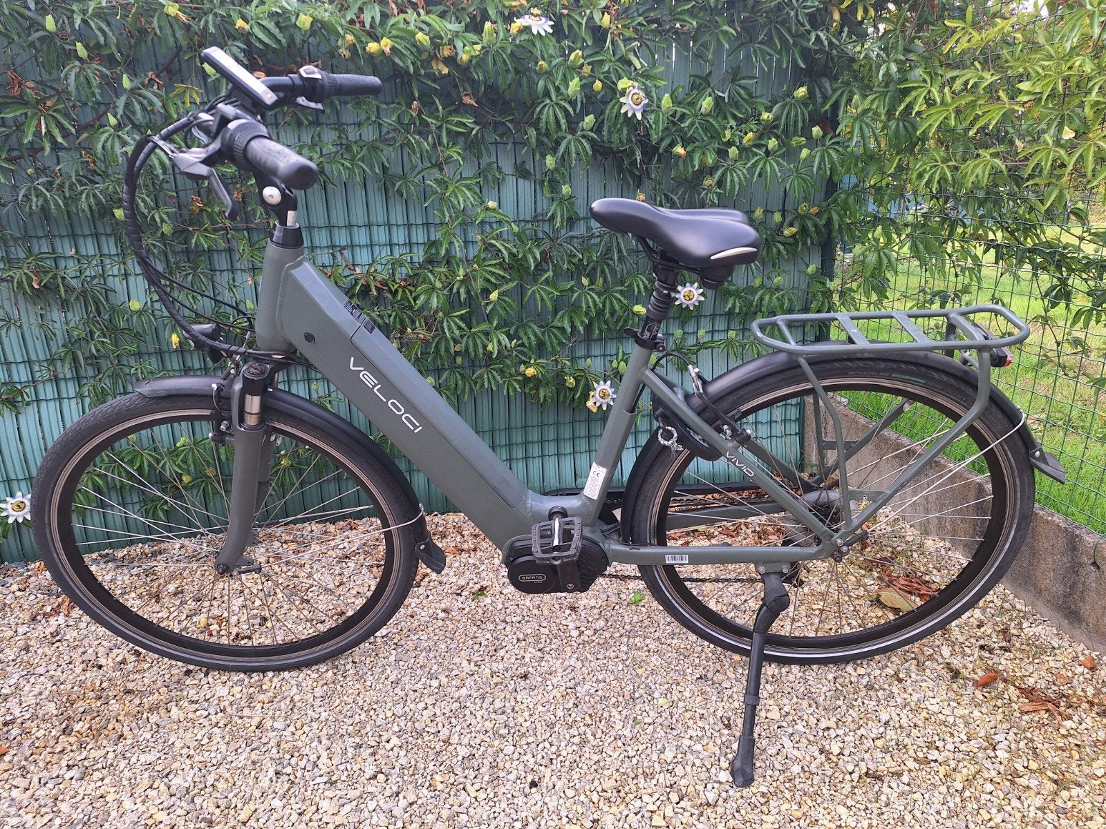 Veloci vivid, Ophalen