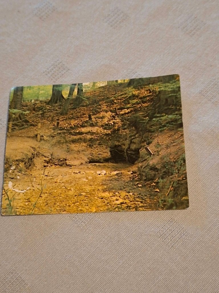 Prentje/Chromo : Bron in het Zoniënwoud / Kuifje's bons, Verzamelen, Natuur, Gebruikt, Ophalen of Verzenden, 1940 tot 1960