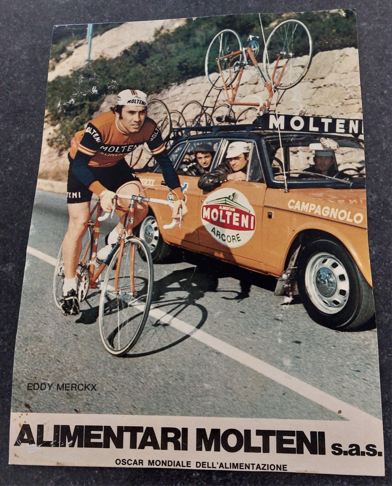 originele vintage kartonnen Molteni reclame E. Merckx '70., Enlèvement