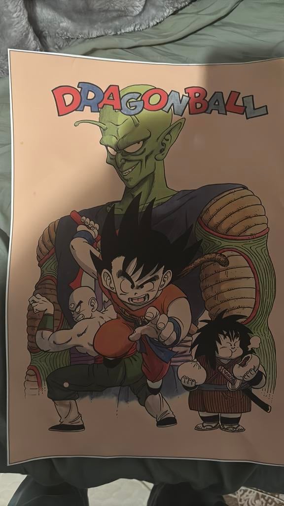 Poster dragon ball, Boeken, Ophalen, Zo goed als nieuw
