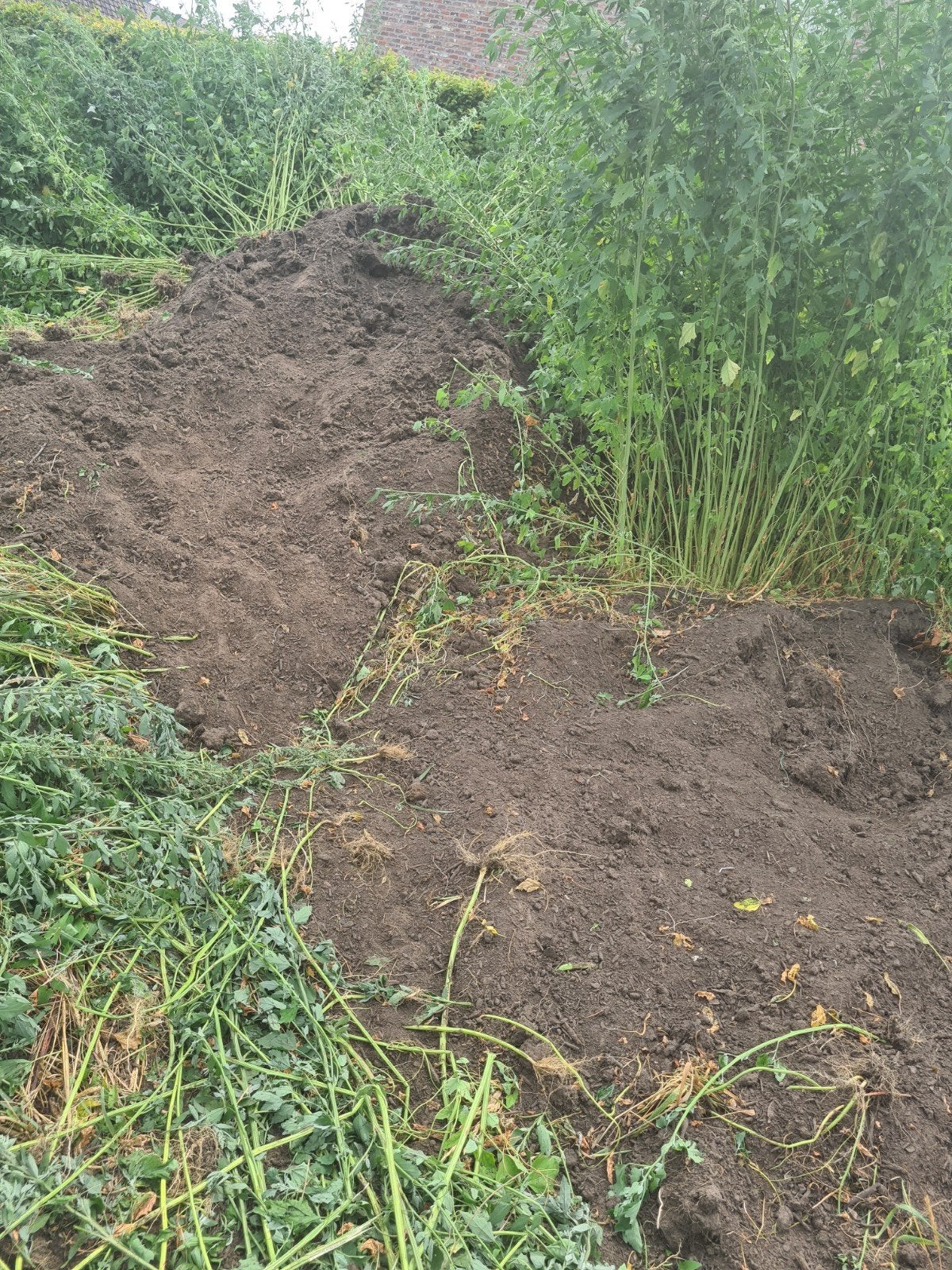 compostgrond  zwartegrond, Tuin en Terras, Aarde en Mest, Ophalen