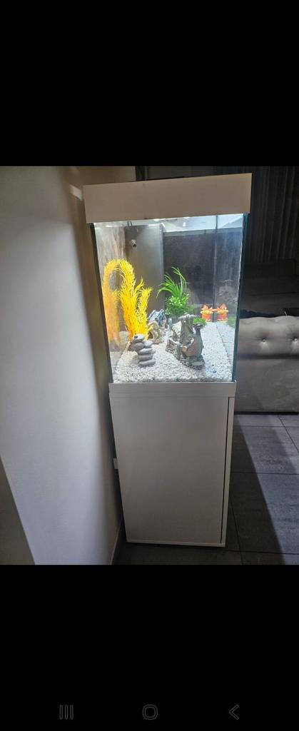 Aquarium, Animaux & Accessoires, Enlèvement, Comme neuf
