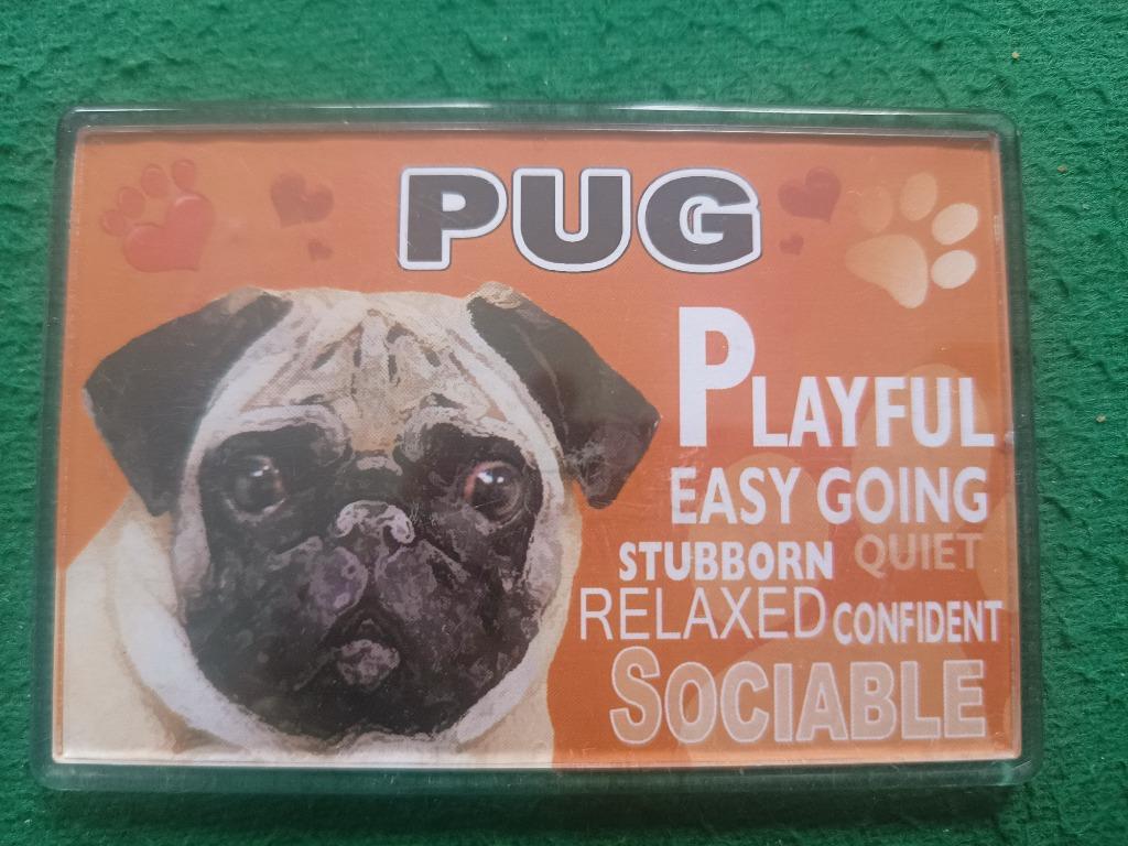koelkastmagneet Pug, Verzenden, Nieuw