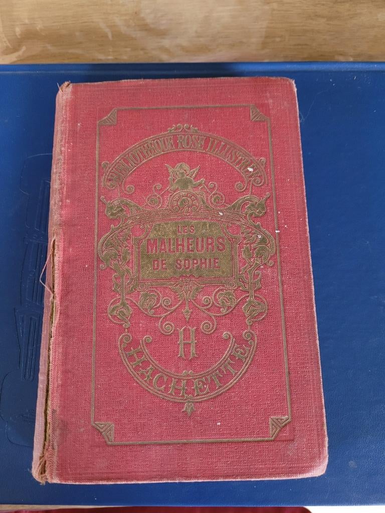 Livre : Les Malheurs de Sophie, Enlèvement
