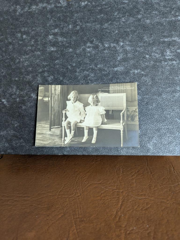 Prins Karel en prins Leopold, Ophalen of Verzenden, Zo goed als nieuw, Kaart, Foto of Prent