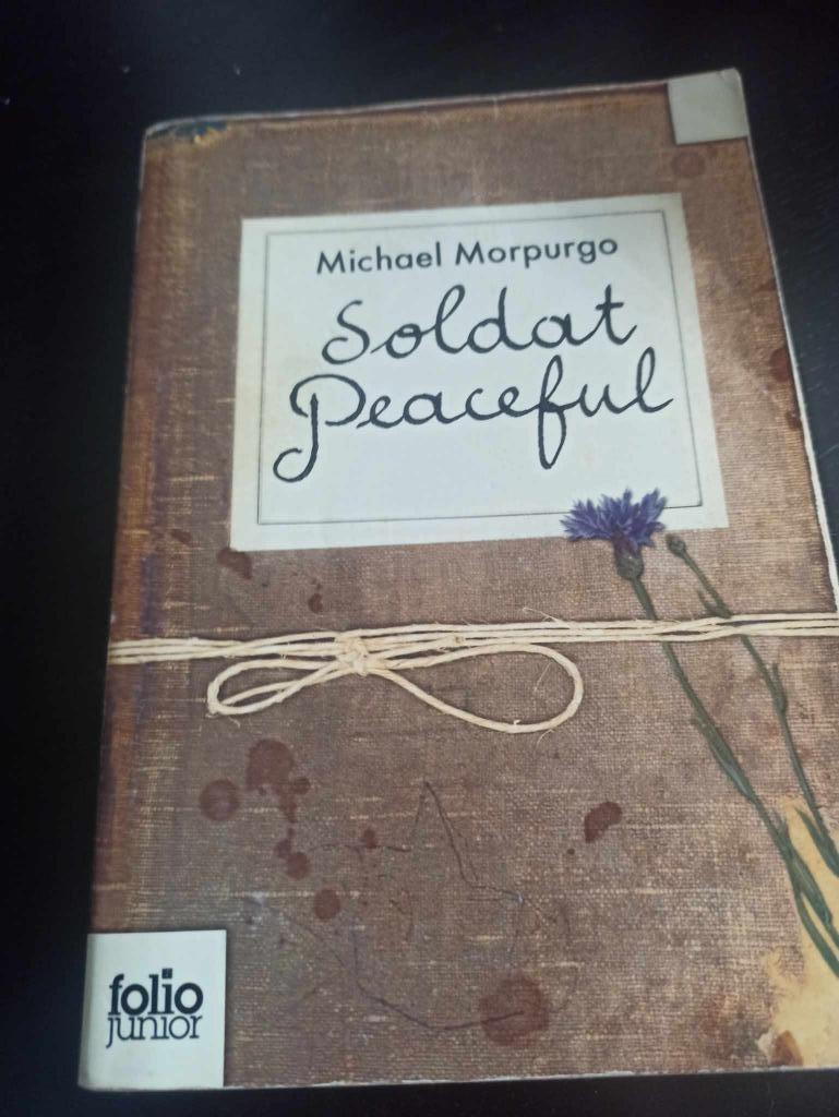 Soldat Peaceful, Ophalen of Verzenden, Gelezen