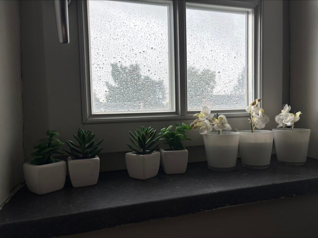 Plantjes en orchideeën, Ophalen