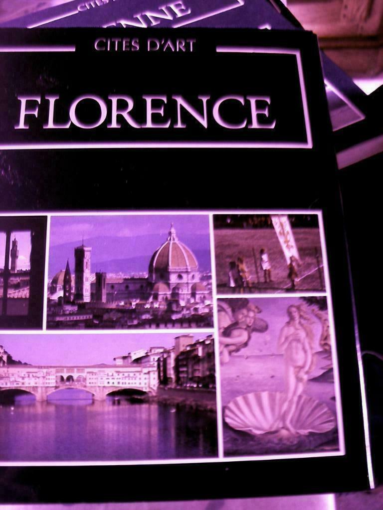 Livre Artis Historia - Florence, Ophalen, Zo goed als nieuw