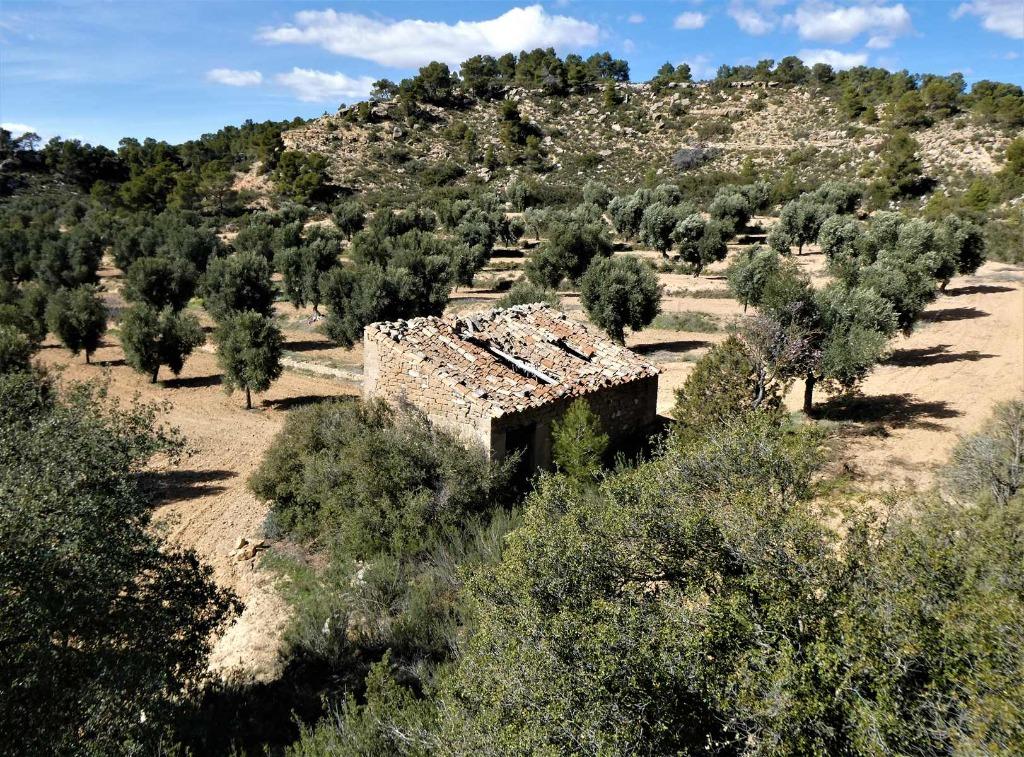 Finca in Maella (Aragon, Spanje) - 0882, Immo, Overige soorten, Spanje, Landelijk