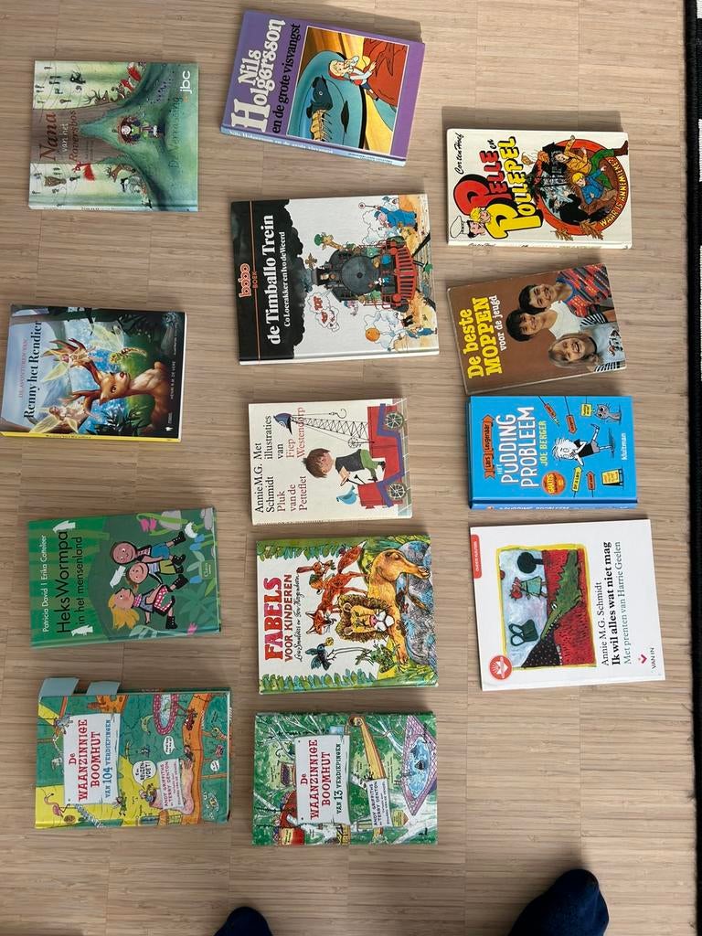 Jeugdboeken o.a. De Waanzinnige boomhut, Boeken, Ophalen, Gelezen, Kind en Jeugd