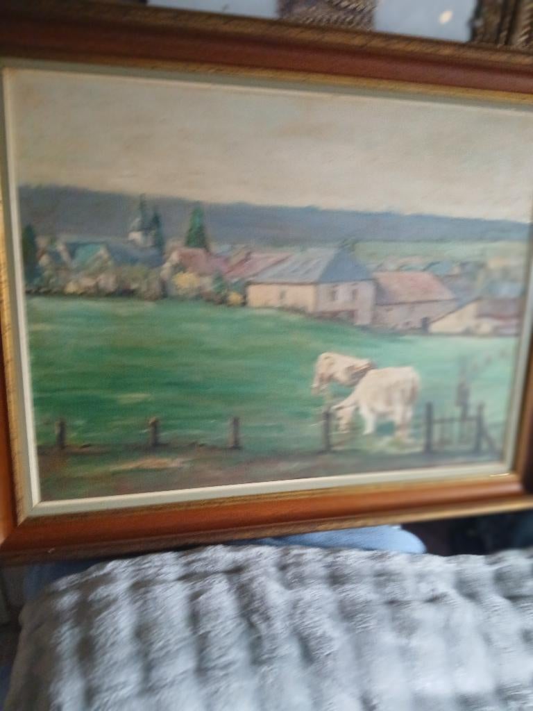 Vue de Torgny par P. Authelet., Antiquités & Art, Enlèvement
