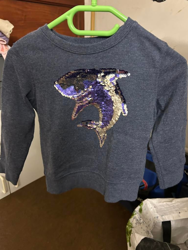 Meisjes pull, Kinderen en Baby's, Kinderkleding | Maat 104, Ophalen, Gebruikt, Meisje, Trui of Vest