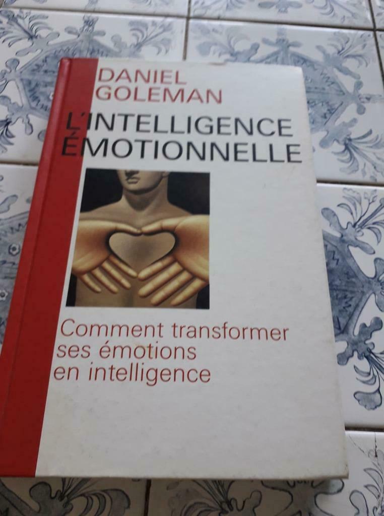 Boek EMOTIONELE INTELLIGENTIE, Boeken, Ophalen of Verzenden, Zo goed als nieuw