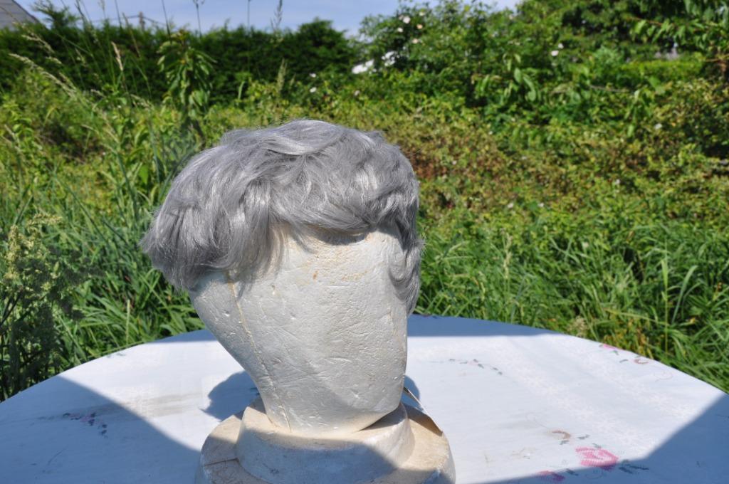 §  perruque synthetique grise  (7), Enlèvement ou Envoi, Neuf, Perruque ou Extension de cheveux
