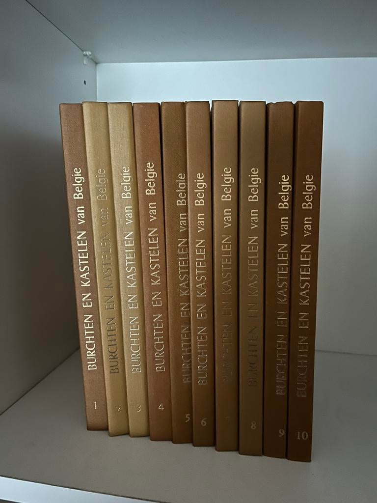 10 boeken burchten en kastelen in Belgie, Boeken, Geschiedenis | Nationaal, Zo goed als nieuw, Ophalen