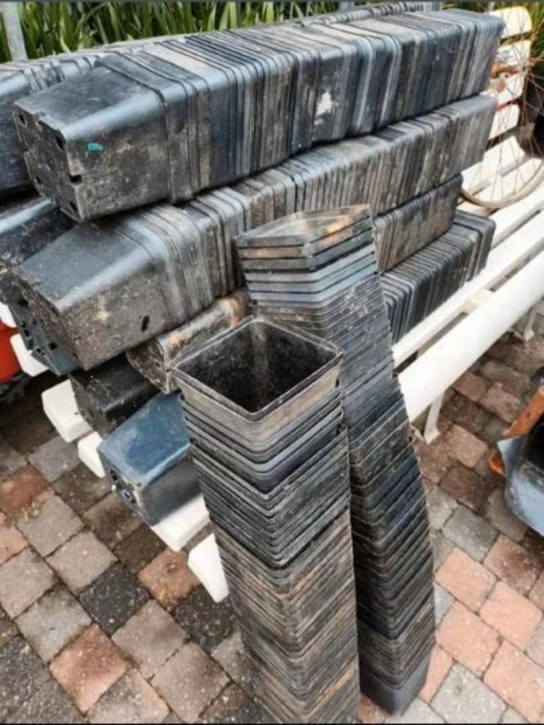 kweekpotjes P11, Tuin en Terras, Kweekspullen, Ophalen of Verzenden, Gebruikt, Kweekbak