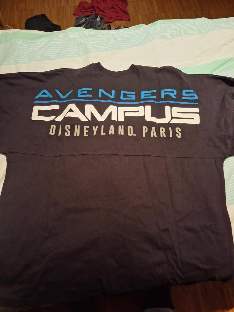 Pull avengers Disneyland Paris XL, Enlèvement