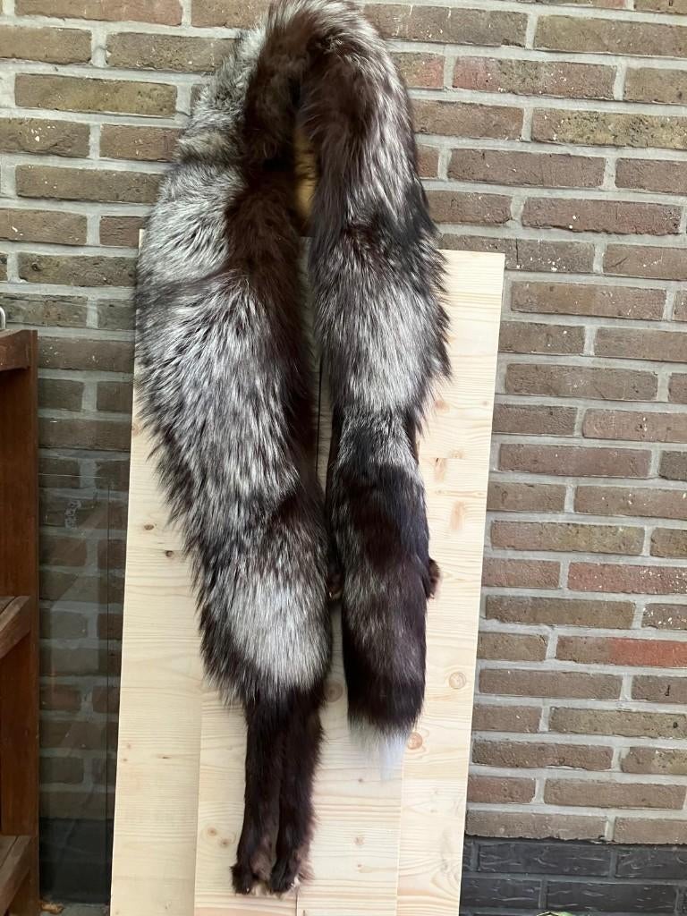 Pels van zilver vos, ANDERE, Ophalen of Verzenden, Gedragen