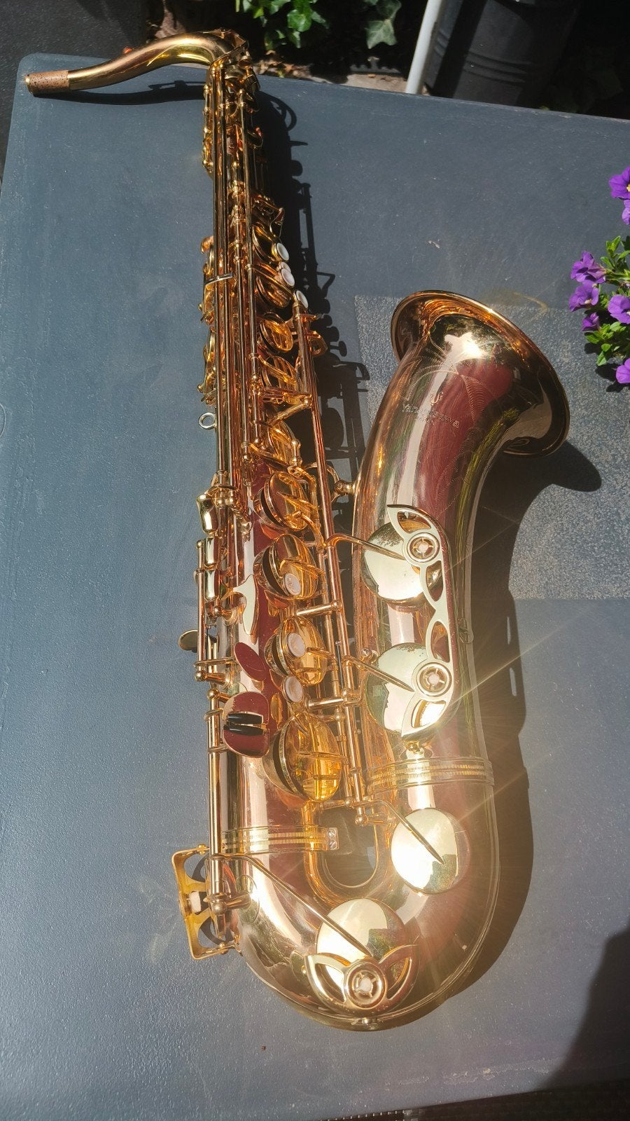 Saxophone ténor Yanagisawa T 902, Enlèvement ou Envoi