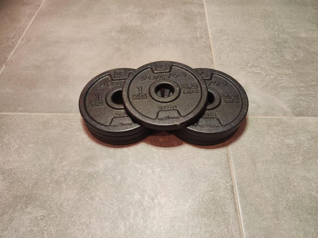 Domyos halterschijven 28mm – 1 kg te koop in Nijlen, Enlèvement, Comme neuf, Bras, Plaques d'haltères