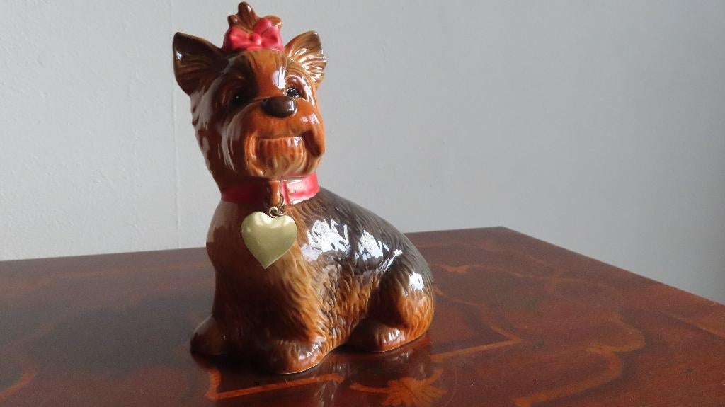Yorkshire Terrier Goebel, Ophalen