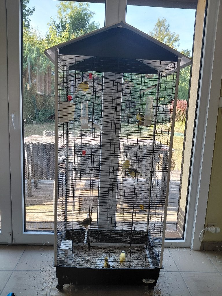 Voliere canari, Enlèvement, Utilisé