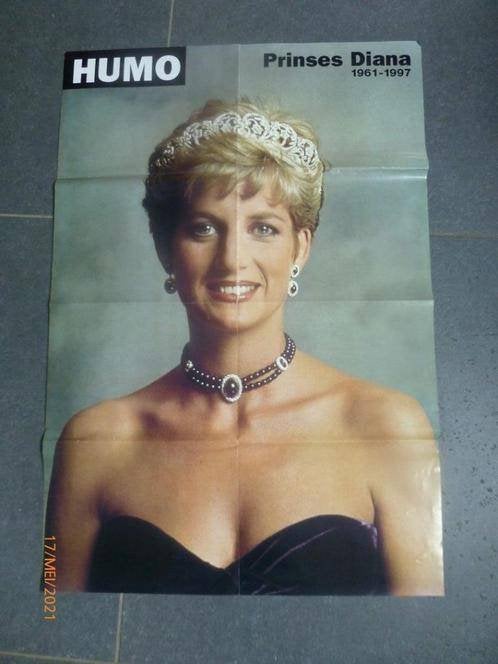 boek: Diana's boys:Christ.Andersen+Prinses Diana 1961-1997, Enlèvement ou Envoi, Comme neuf, Magazine ou livre