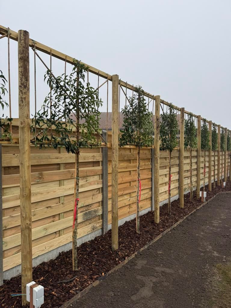 Hout beton schutting, Ophalen, 1 tot 2 meter, 6 meter of meer, Nieuw