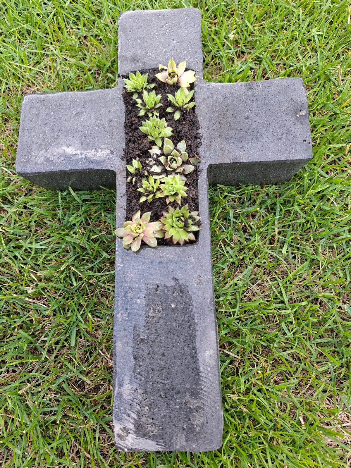 Grafstukje, Ophalen, Vaste plant, Bodembedekkers