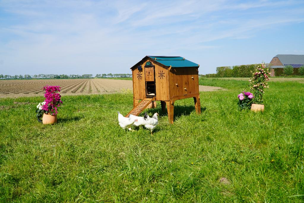 Trespa Kippenhok Cucciolotta | Duplex 2XL, Dieren en Toebehoren, Pluimvee | Toebehoren, Ophalen of Verzenden, Nieuw, Kippenhok of Kippenren