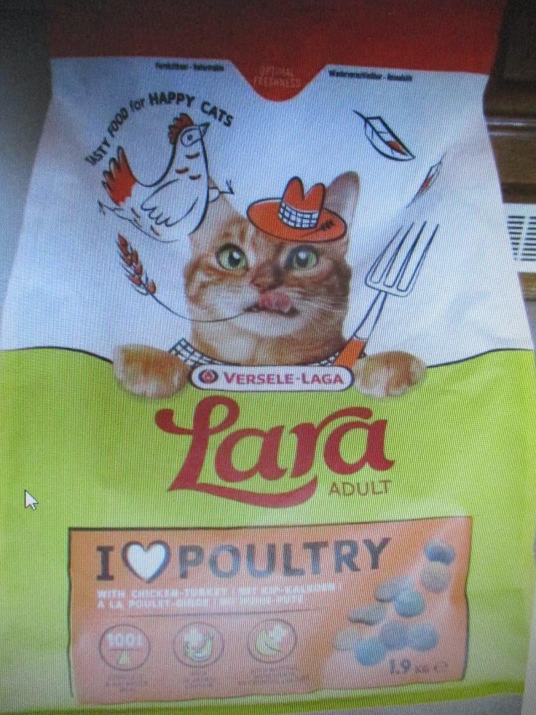 kattenbrokken, Dieren en Toebehoren, Ophalen of Verzenden, Kat