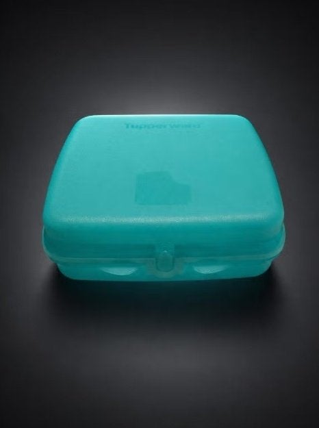 Tupperware sandwichbox, Ophalen, Nieuw, Bus of Trommel